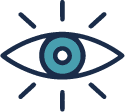 vision
